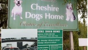 cheshire-dogs-home-main
