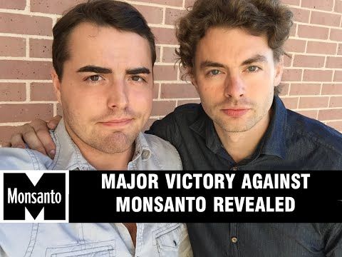 Monsanto Losing Hundreds of Millions, Investors Pulling Out: End of GMO Giant to Come