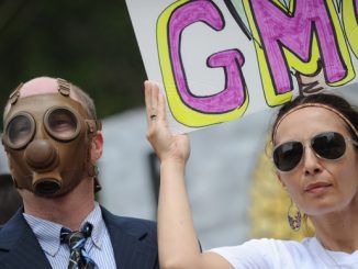 UK GMO lobby wants "genome edited" products to escape GMO regulation and labelling