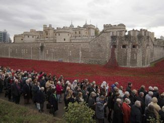 Arms firms dine at Tower of London days after ‘sea of poppies’ closed