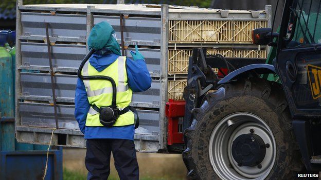 Health expert warns there ‘will probably be human cases’ of bird flu