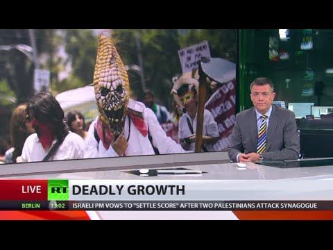 Video: Indian farmer widows blame GMO giants for fatal crop failures