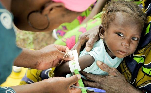 Five million people starving in Mali: UNICEF