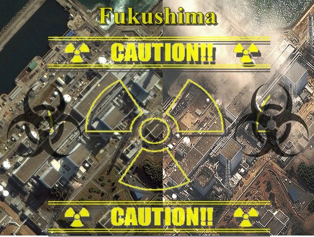 Shocking Report From Fukushima