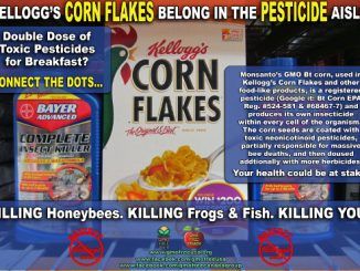 Kellogg’s Cereals: Double Dose of GMO Pesticides & Antibiotics