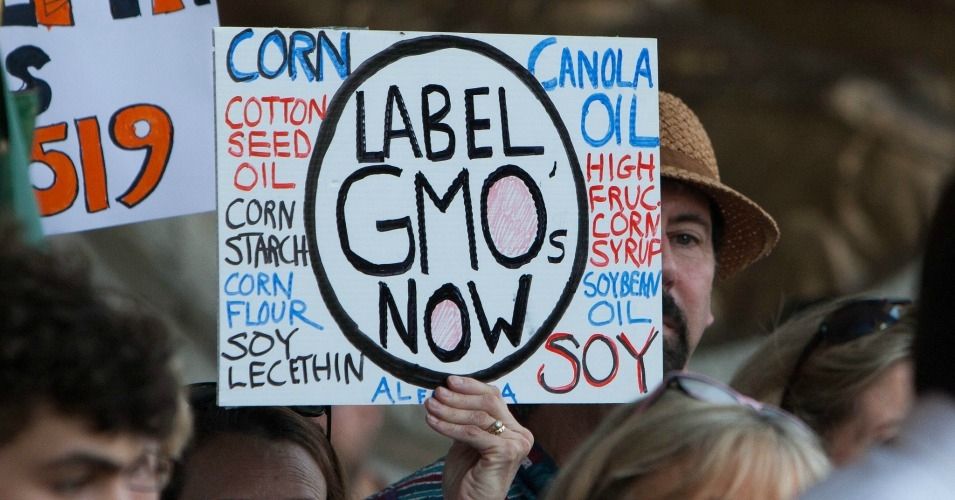 Local GMO Fights Smash Records as Monsanto's Millions Bankroll Opposition
