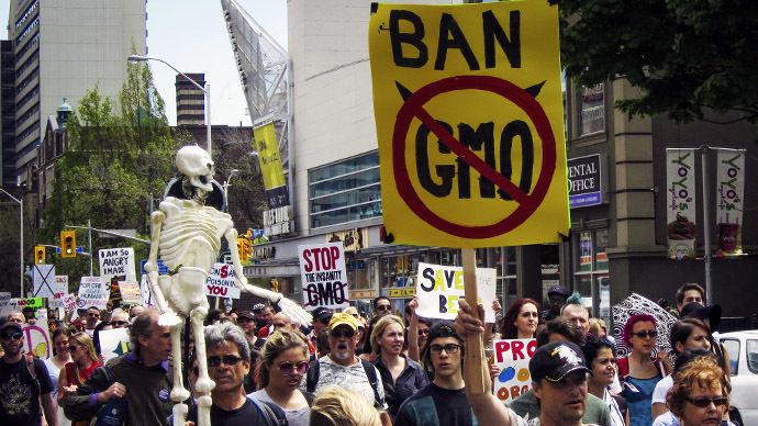 Monsanto to sue Hawaii county over GMO ban