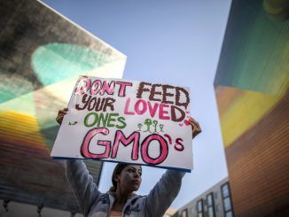 Oregon GMO-labeling initiative defeated by Monsanto-sponsored groups