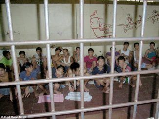 Children being caged to keep the streets clean for the Pope
