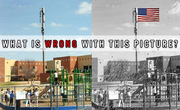 Why Is This Giant Cell Phone Tower in the Middle of an Elementary School Playground?