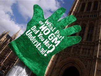 The Government’s Drive to Force GMOs into Britain Against the Will of the People Continues