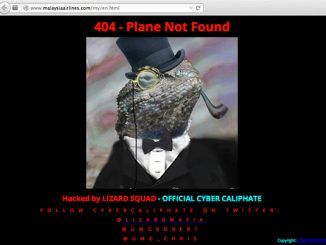 The 'Lizard Squad' Hack Malaysia Airlines Website