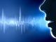 High-Tech Voice Recognition Software To Be Used By Military