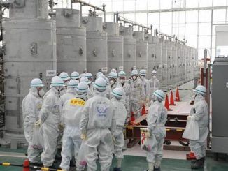 Fresh Leak Of Highly Radioactive Water At Fukushima plant