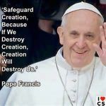 pope francis-creation