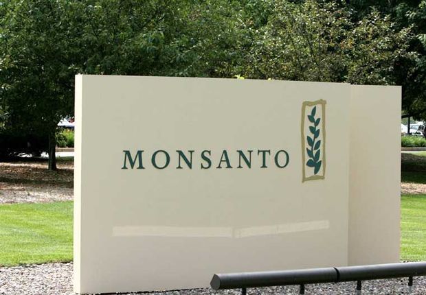 Monsanto Rejects WHO Verdict That Roundup ‘Probably’ Causes Cancer