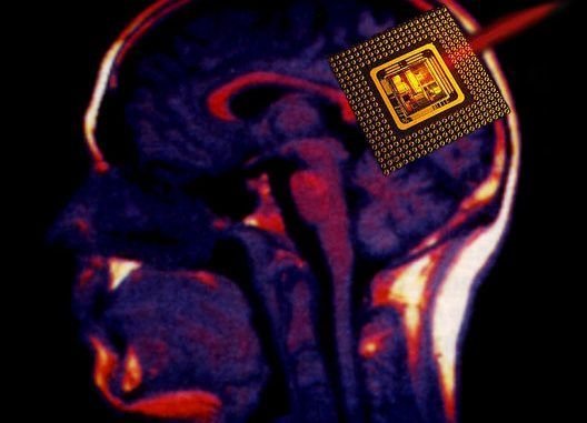 Head Of Paypal Wants Brain Chips to Replace Passwords