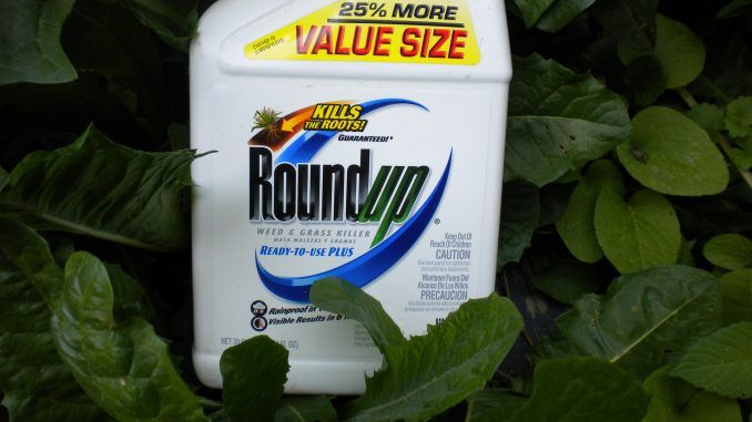 Monsanto Roundup is An Endocrine Disruptor at Levels allowed in Drinking Water.