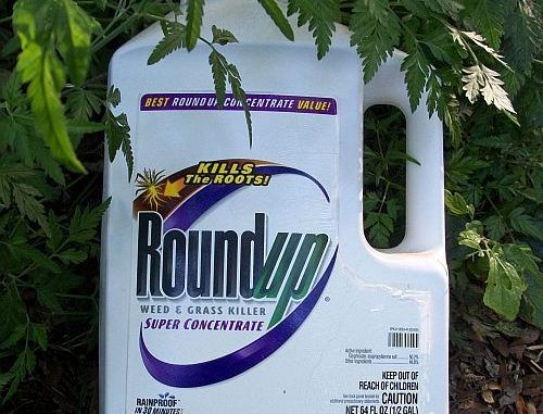Retail Giant In Germany To Removes Glyphosate From 350 Stores
