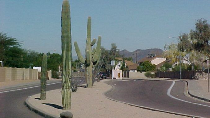 Arizona Town Installs License Plate Scanning Cameras In Fake Cactuses