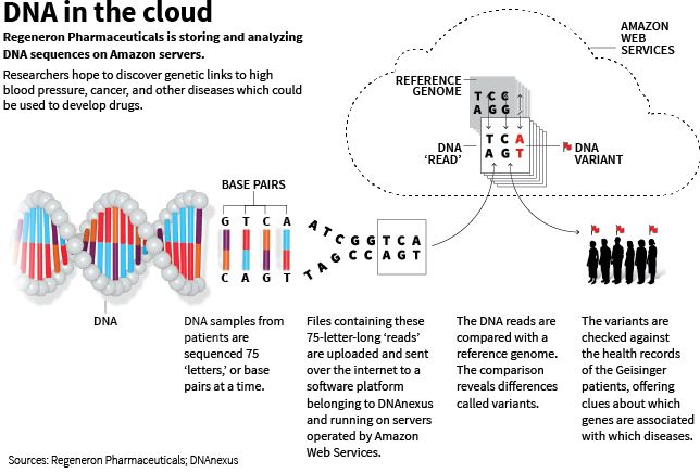 DNA-cloud