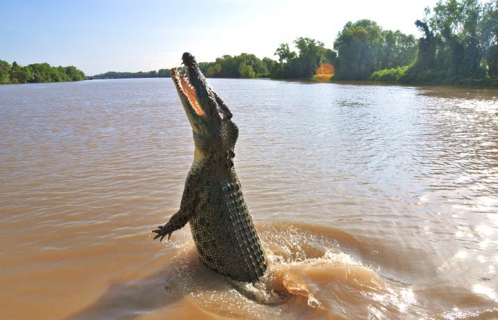 Eaten By Giant Crocodiles