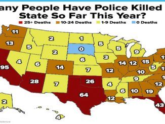 how many people have been killed by police