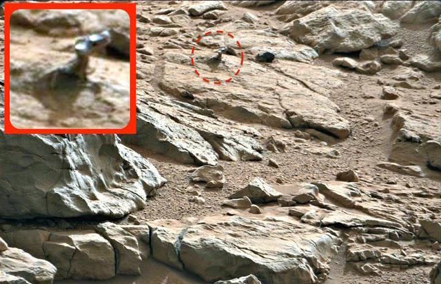 Is this a space lizard captured on the planet Mars?
