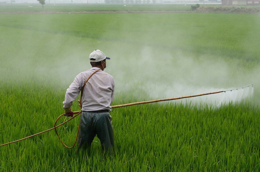 Do pesticides cause infertility?
