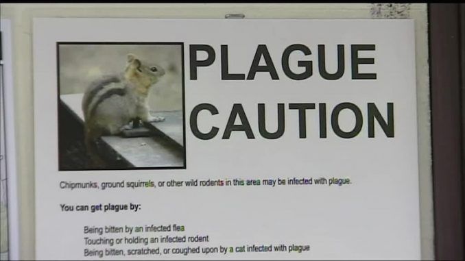 Another case of Plague hits California
