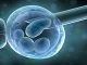 human embryos