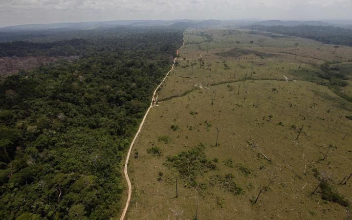 Monsanto announce plans to team up with WWF and turn the Amazon rainforest into a GMO plantation