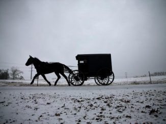 Amish man