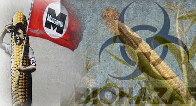 EU outlaws the banning of GMO foods across Europe