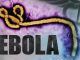 The CDC is advising that all Ebola survivors must abstain from sex