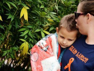 A 3-year-old cancer patient who was told he had just 48-hours to live was cured by taking Cannabis oil