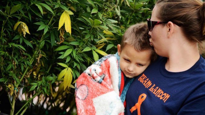 A 3-year-old cancer patient who was told he had just 48-hours to live was cured by taking Cannabis oil