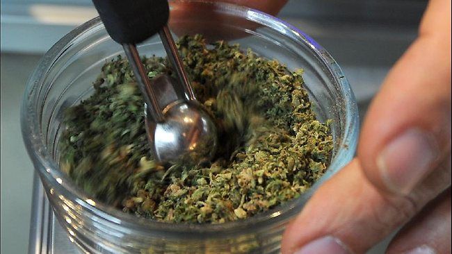 Queensland, Australia to trial prescribing cannabis to MS sufferers and epileptic patients