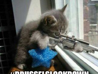 #Brusselslockdown