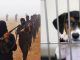 ISIS issues fatwa to kill all American puppies and dogs