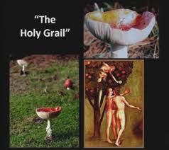 Is the Amanita magic mushroom the fabled Holy Grail?