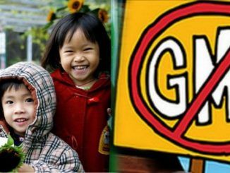 Taiwan ban GM food from their school menus