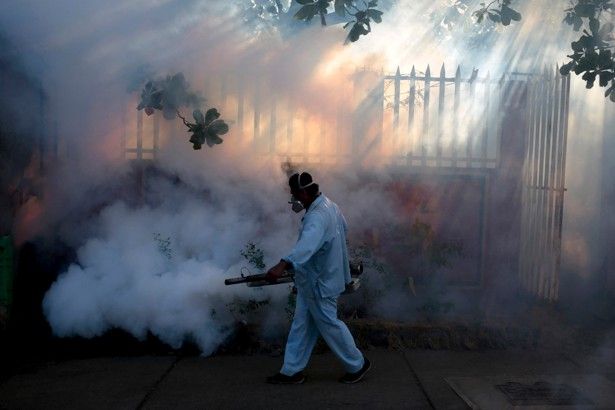First U.S. Zika virus case confirmed