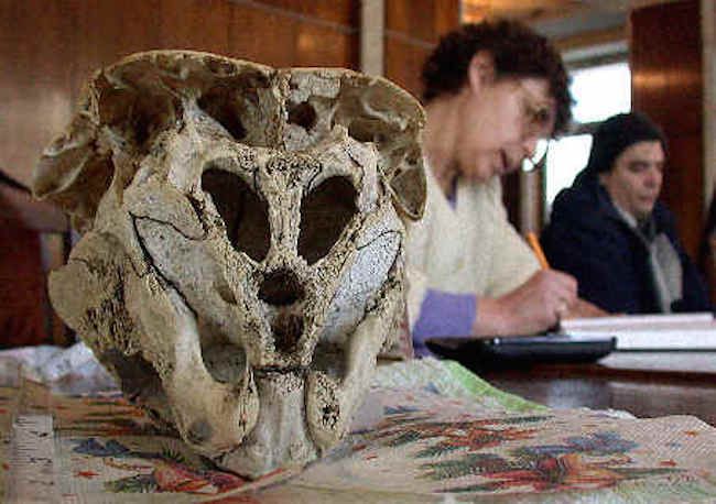 Bulgaria skull may be of alien origin say scientists