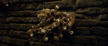 Strange plants with eyes on the walls of the Labyrinth reminds us that Sarah is tightly monitored by her handler during the entire process. The symbol of the all-seeing eye is heavily used in actual mind control programming. 