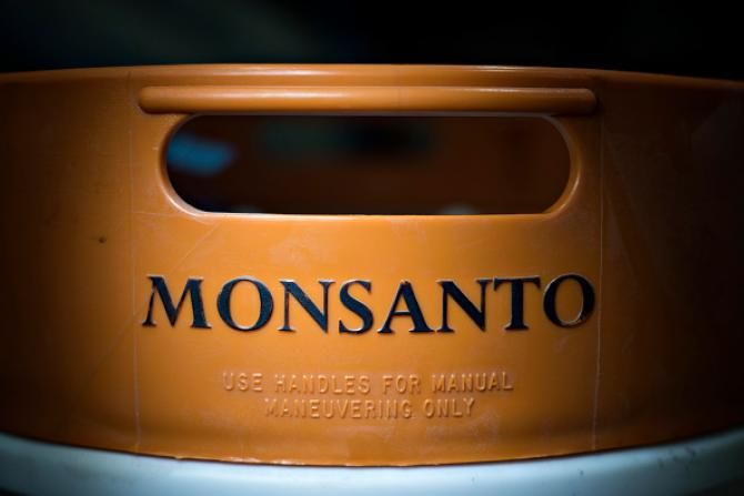 Monsanto cut 1000 jobs