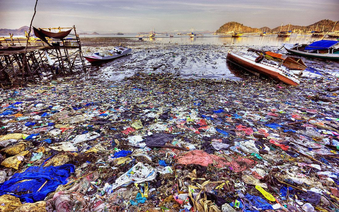 By 2050 there will be more plastic junk in the world's ocean than there are fish