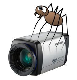 spider-on-security-camera