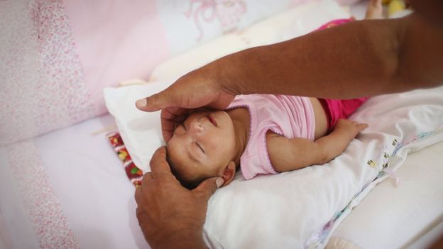 Zika virus officially declared a pandemic