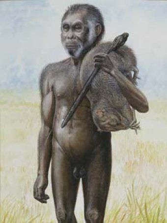 Depiction of a hobbit on Flores island